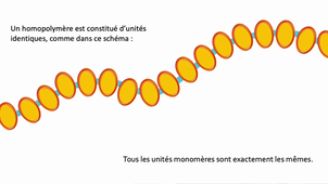 1 Polymères Partie 1 - Généralités