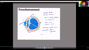 Anatomie-vision - P11