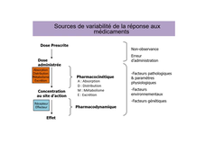 1-pharmacodynamie-introduction-2020-enr