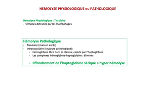 L.AS 3 - UE 64 - Hématologie - Hémolyse