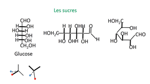 PASS / L.AS - UE 12 - Bases de chimie - Les aldéhydes et cétones