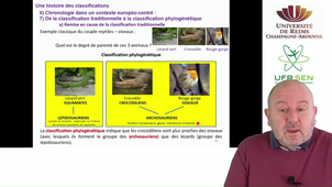 Histoire des classifications - capsule 5