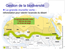 UE7EC2 - L. Nazabadioko-Voutequenne - cours 6 - partie 2