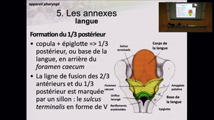 UE9EC7 - CM1b - Pr. Jacquelin - vidéo 1/1