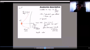 UE24 EC2_Gland mammaire - P10