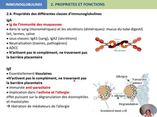 LAS 2 UE44 EC1 MEDECINE IMMUNOLOGIE 2 ORGANISATION DE LA REPONSE IMMUNE ADAPTATIVE B Lymphocytes B et immunoglobulines