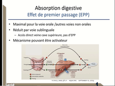 3-PK-absorption-effet du premier passage