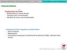 MED0403 - Glandes digestives - V Vuiblet - 4/4