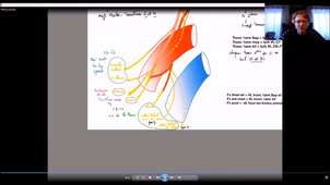UE24 EC2_Gland mammaire - P7