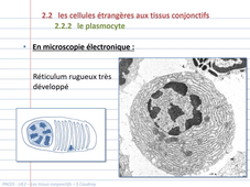 UE2EC2 - CM3+4 - Tissus conjonctifs - vidéo1 - S Caudroy