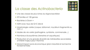 CM Streptomyces introduction
