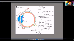 Anatomie-vision - P10