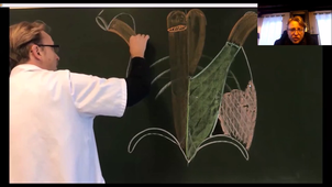 hernies et anatomie de la paroi abdominale 3