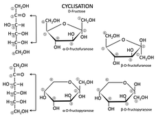 L.AS SpS - UE 14 - Biochimie - Les glucides : généralités et structure