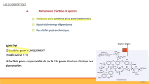 PASS / L.AS - UE 11 - Bases pharmacologiques du médicament - Définition et classes de médicaments (Partie 3)