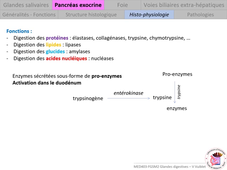 MED0403 - Glandes digestives - V Vuiblet - 2/4