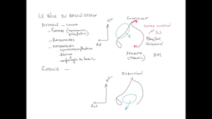UE24 EC2_Bassin obstétrical - P7