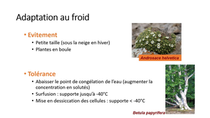 UE 15 PASS - climat et environnement séquence 4.1