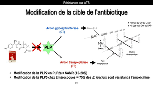 PROBLEME EMERGENCE RESISTANCE ATB 2024