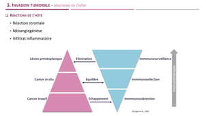 DFGSM2 - MED0302 - Progression métastatique - Invasion tumorale