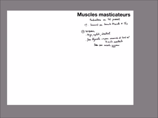 Anatomie-manduc
