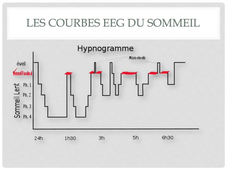 TD2 Mémoire et mémorisation