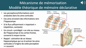 Physio LAS 2 Mémoires Def et structures