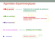 systeme dopaminergique