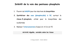 DFGSM2 - MED0402 - Métabolisme glucidique et régulation - Voie des pentoses-phosphate