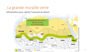 PASS - UE 15 - Evolution, Ecologie, Environnements - Biodiversité des espèces