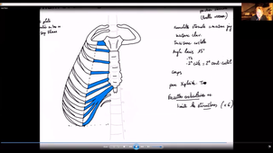 Paroi thoracique et diaphragme - P5