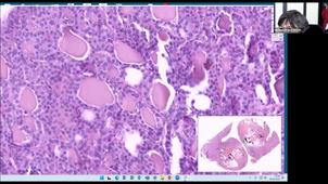 Plateau de cyto de la SFCC 2