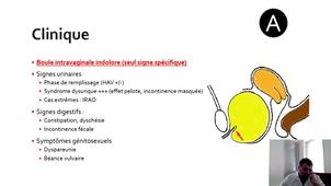 Item 44 - Prolapsus