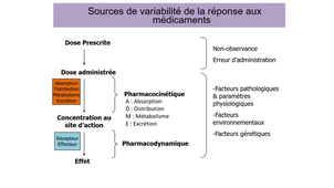 DFASM3 - UE 10 - Pharmacologie fondamentale et clinique - Introduction