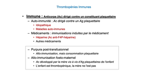 DFGSM2 / DFGSMa2 - MED0304 - Thrombopénie : démarche diagnostique
