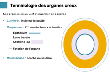 L.AS UE24-EC2 terminologie
