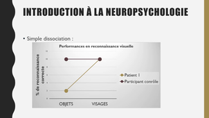 Cours Introduction à la neuropsychologie