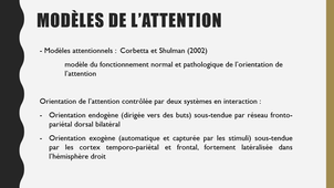 Héminégligence