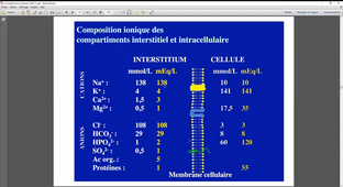 CM 1 de PHYSIOLOGIE du Pr. MAURAN