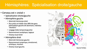 2.2 PHYSIOLOGIE SYSTEME NERVEUX - GLORON PARTIE4