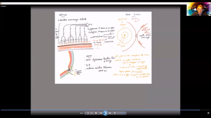 Anatomie-vision - P8