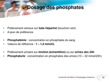 Les molécules constitutives du vivant et leurs fonctions 2 sur 3
