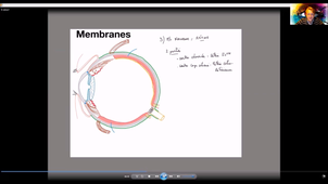 Anatomie-vision - P7