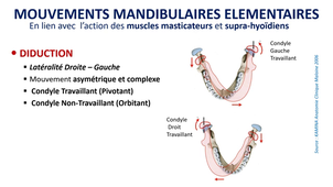 PASS / L.AS - UE 21 - EC 5 : Anatomie spécifique de la bouche - Anatomie régionale : Articulation Temporo-Mandibulaire