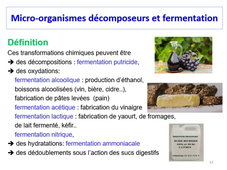 PASS - Semestre 1 - UE 15 - Evolution, Ecologie, Environnements - Ecologie microbienne (Partie 1)