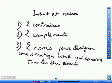 Instinct et raison
