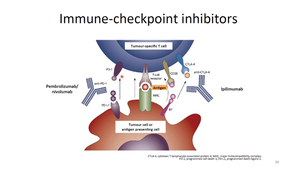 MEDLIB0505 Immunité anti-tumorale partie 2