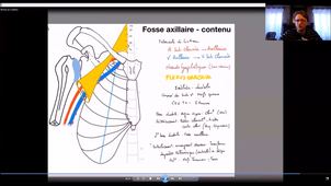 UE24 EC2_Gland mammaire - P6