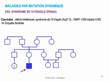 DFGSM3 - Semestre 2 - MED0601 - Génétique médicale - Séquence 7 - Mutation dynamique