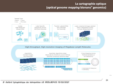 MEDLIB0403 cytogénétique 1